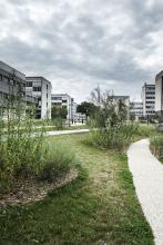 campus